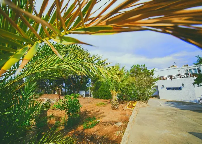 Hotel Jasmine Court Hotel Central Kyrenia Seafront Location !